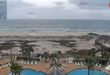 The Beach Club Gulf Shores Alabama | Live Cam Video