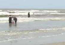 Galveston Beach Live Surf Cam New In Texas