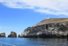 Anacapa Light Landing Cove