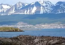 Beagle Channel, Ushuaia Live Webcam