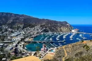 Catalina 149 min