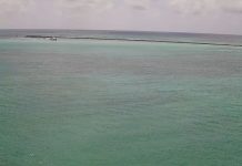 Destin Pass Live Webcam New In Florida