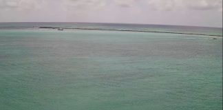 Destin Pass Live Webcam New In Florida