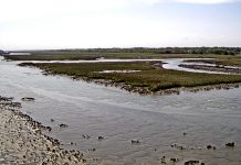 Jinks Creek Waterfront - Ocean Isle Beach