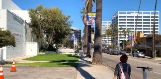 Hollywood Walk Of Fame