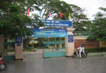 Kim Dong School Hải Châu Live Cam