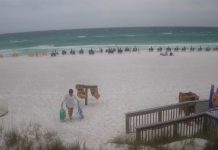 Westwinds Live Cam In Sandestin Florida