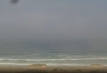 Monterey State Beach Surf Cam - California - Live Hd Video
