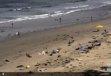 Pacific Beach Surf Cam New In California
