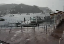 Avalon Harbor Live Webcam In California