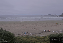 Long Beach Lodge Tofino Webcam | Vancouver, Bc | Live Video