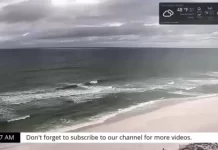 Wyndham Garden Fort Walton Beach Live Cam, Florida