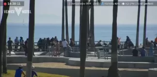 Venice Beach Live Cam New In California