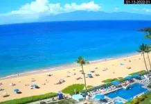 Hula Grill Live Stream Webcam New In Hawaii