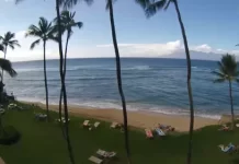 Maui Sea Shell Condo Beach Cam New In Hawaii