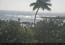 Poipu Beach Hawaii Live Cam New In Hawaii