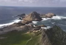 Farallon Islands Live Webcam California