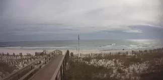 Perdido Beach Resort Orange Beach Live Cam