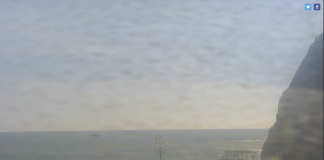 Dana Point Webcam New In California