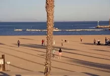 Santa Barbara  Live Cam New In California