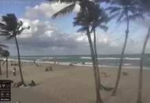 Hollywood Beach Boardwalk Cam