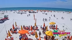 Frenchy's Clearwater Beach Live Cam New In Florida