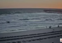 Calypso Towers Beach Live Cam New Panama City Beach, Florida