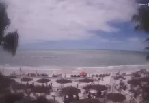 Turtle Sunset Live Webcam New In Naples, Florida