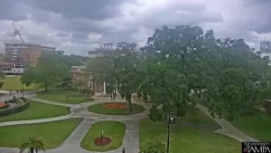 The University Of Tampa Live Webcam New In Florida