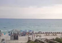 Emerald Beach Resort Beach Live Cam New Panama City, Florida