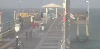 Dania Beach Cam Pier Live New In Florida