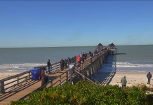 Naples Pier Live Cam New In Florida