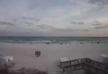 Westwinds Live Cam In Sandestin Florida New