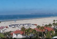 Silver Strand State Beach Live Webcam