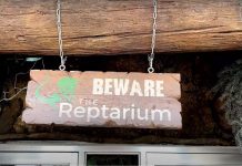 The Reptarium Live Stream Cam New In Michigan
