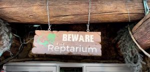 The Reptarium Live Stream Cam New In Michigan