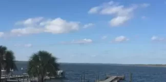 Orange Beach Live Osprey Live Cam New Alabama