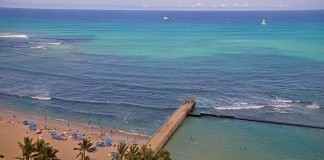 Waikiki Beach Park Shore Surf Cam Hawaii - Hd Video
