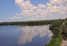 Jn Ding Darling National Wildlife Refuge Cam - Florida