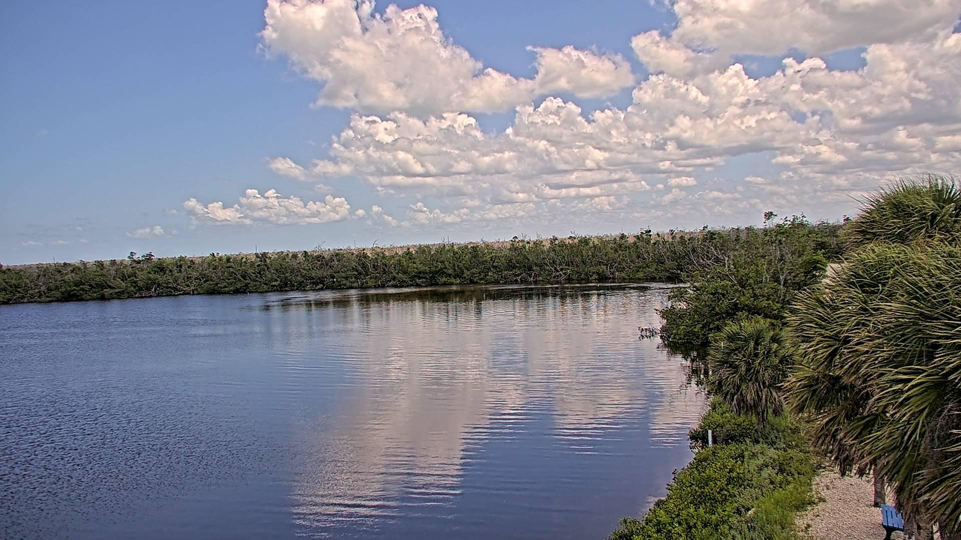 JN Ding Darling National Wildlife Refuge Cam – Sanibel, FL
