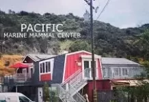 Pacific Marine Mammal