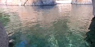 San Diego Zoo Penguin Beach Webcam