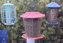 Bird Feeder Live Cam New In Florida
