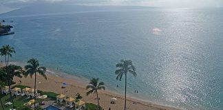 Royal Lahaina Beach Live Cam Hawaii