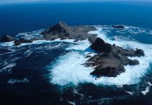 Farallon Islands Live Webcam - California - Real Time