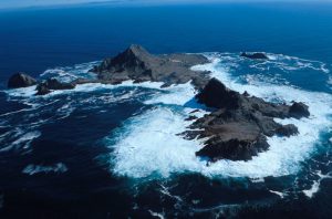 Farallon Islands Live Webcam - California - Real Time