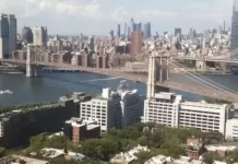 New York Skyline Live Stream Cam