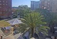 Tampa Florida Downtown Live Stream Cam New