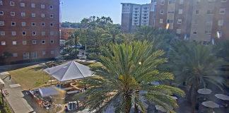 Tampa Florida Downtown Live Cam - Hd Video