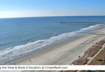 Myrtle Beach Live Stream Webcam New In South Carolina